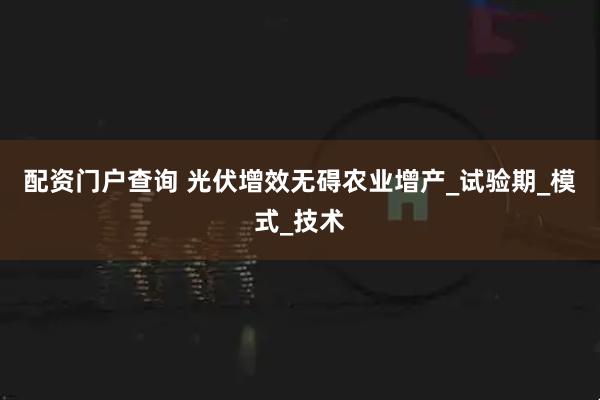 配资门户查询 光伏增效无碍农业增产_试验期_模式_技术